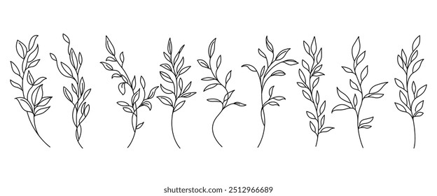 Vector Negro Bosquejo Una Línea Dibujo Conjunto De Plantas Negro Bosquejo De Hojas Rama Aislada Sobre Fondo Blanco. Ilustración lineal de flores. Conjunto botánico minimalista