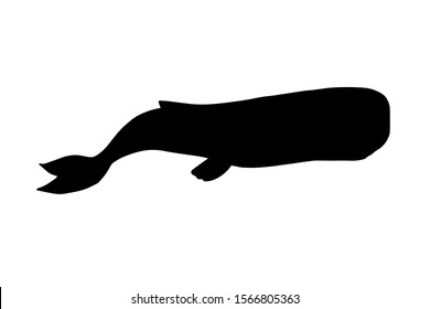 Vector black sperm whale cachalot silhouette isolated on white background