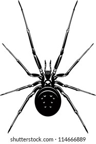 Vector Black Spider