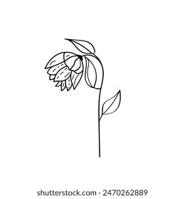 Vector black sunflowers icon, illustration silhouette image ,botanical lines art flower, Minimalist contour drawing of flower. line drawing of flower botany.Hand drawn sketch of flower with leaves.