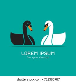 Vector of black swan and white swan on blue background, Logo, Symbol, Animal.