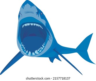 Vector black sword. Vector shark with open mouth