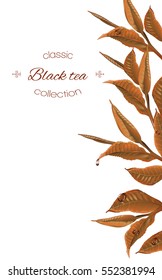 Vector black tea vertical banner with tea leaves and drops on white. Design for packaging, tea shop, drink menu. With place for text.