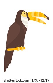 Vector black toucan clip art in flat style. Beautiful tropical bird with a long yellow beak. Exotic toucan for minimal flat design. Tropical bird on a white background isolated