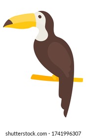 Vector black toucan clip art in flat style. Beautiful tropical bird with a long yellow beak. Exotic toucan for minimal flat design. Tropical bird on a white background isolated