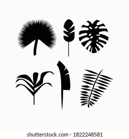 Vector black tropical leaves isolated on white. Design for card, postcard, poster, banner, print, pattern, symbol, summer,sale
