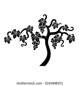 Vector black vine illustration isolated on white background