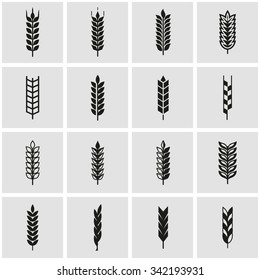 Vector black wheat ear icon set.