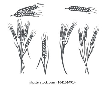 Vector Black Wheat Silhouette Icons Set on White Background