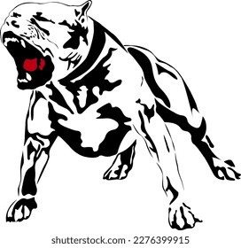 Vector black and white aggressive pitbull