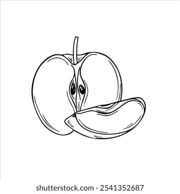 Vector black and white apple half and slice fruit hand drawn sketch engraving illustration. Organic natural food monochrome flat for poster, package, recipe design.