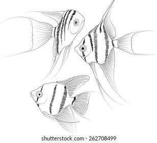 vector black and white aquarium fish