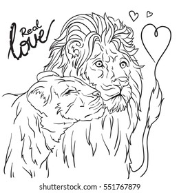 Vector black and white art with lions in love.