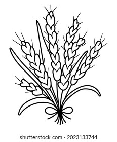 Vector Black And White Autumn Cereals Bouquet. Outline Crop Bunch. Line Fall Grain Illustration Isolated On White Background
