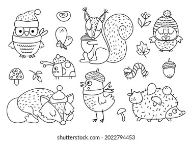 Vector black and white Autumn forest animals and insects set. Cute outline hedgehog, squirrel, fox, owl in hats and scarves. Vector fall or Thanksgiving characters collection. Woodland line icons pack