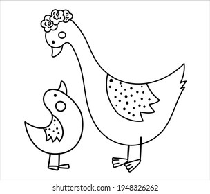 Vector Black And White Baby Goose With Parent. Funny Bohemian Style Woodland Bird Scene Showing Family Love. Cute Boho Illustration For Card, Print, Stationery Design. Forest Line Icon
