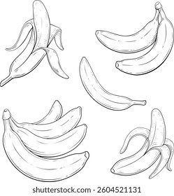 Vector Black and White Banana Set