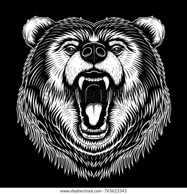 Vector Black White Bear Face Illustration Stock Vector (Royalty Free ...