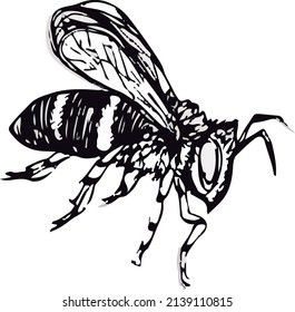 Trabajos de la línea de silueta de abejas blancas y negras vectoriales.