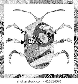 Vector black and white beetle illustration