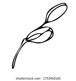 vector black and white botanical element, contour, linear drawing, coloring book, freehand sketch, wildflowers and garden flowers - orchid, phalaenopsis