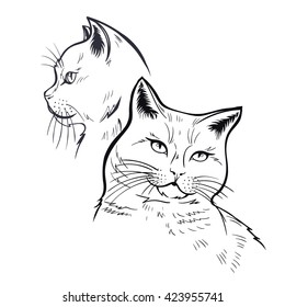 Vector Black and White Cats Illustration