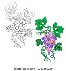 vector black and white and color image of a bunch of grapes with leaves