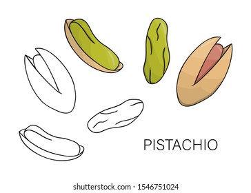 Vector black and white and colored pistachio icon. Set of isolated nuts. Food illustration in cartoon or doodle style isolated on white background.