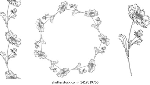 vector black and white contour flower arrangement with chamomile flowers