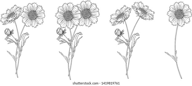 vector black and white contour flower arrangement with chamomile flowers
