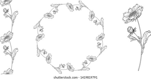 vector black and white contour flower arrangement with chamomile flowers
