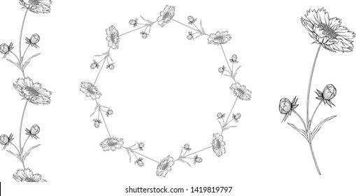 vector black and white contour flower arrangement with chamomile flowers