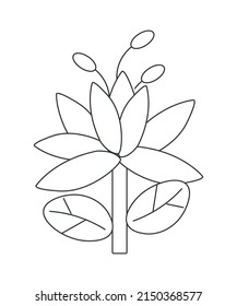 Vector Black white contour simple illustration of lily Flower