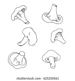 vector black white contour simple sketch of  mushrooms set on white