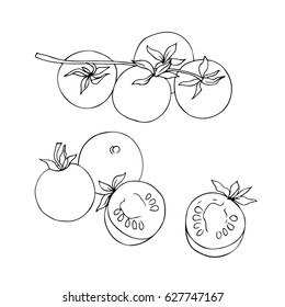 vector black white contour simple sketch of tomato set on white