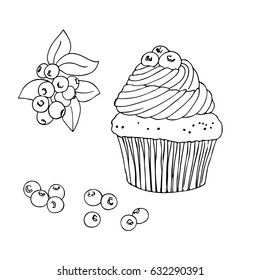 vector black white contour simple sketch of blueberry cupcake