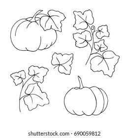 vector black white contour simple illustration of pumpkin vegetable set