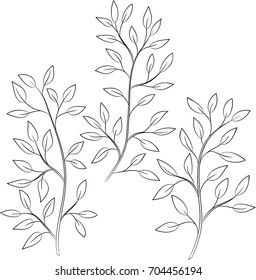 vector black white contour simple illustration of tree branch with leaves