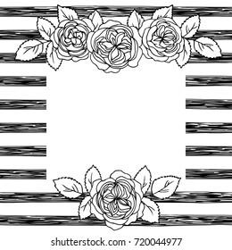vector black white contour simple illustration of rose flowers pattern with striped background