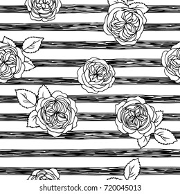 vector black white contour simple illustration of rose flowers pattern with striped background