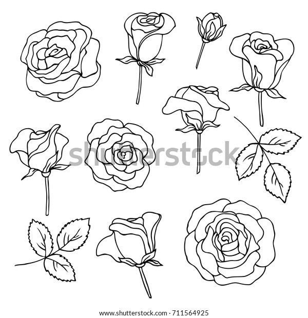 Https outline com. Оозы контур. Розы картинки. Простой рисунок розы 2д. Rosebud pattern.