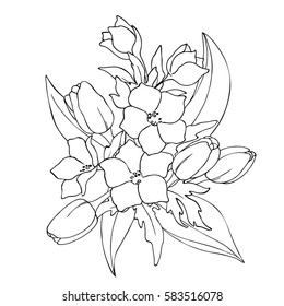 vector black white contour sketch of wild flowers and tulips