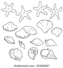 vector black white contour sketch of sea shells sketch