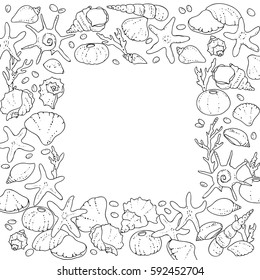 vector black white contour sketch of sea shells square frame