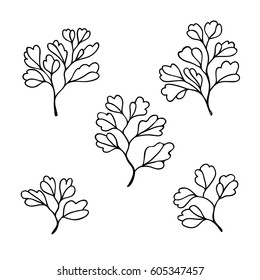 vector black white contour sketch of leaves plant