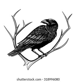 Vector Black and White Crow Illustration