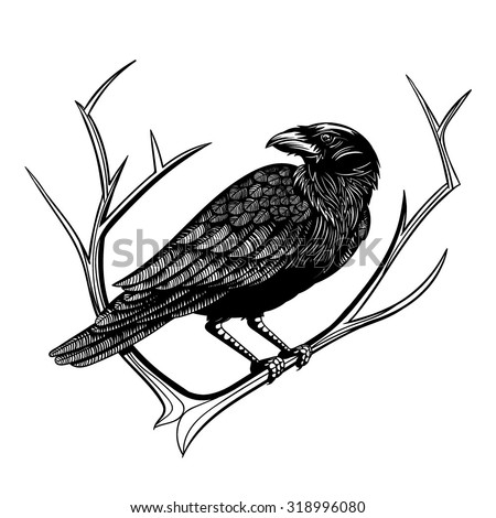 Vector Black White Crow Illustration Vector de stock (libre de regalías