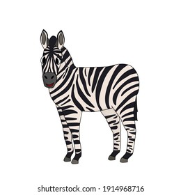 Vector Black and white cute outline cartoon zebra. Side view. Animal is smiling, isolated on white background.