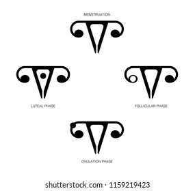 Vector black and white demonstration the phase of the menstrual cycle in a minimalistic style