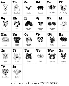 Vector black and white dog breeds alphabetical cards with cute dog faces hand drawn illustration for printing for preschool classes and kid room and also for homeschooling
